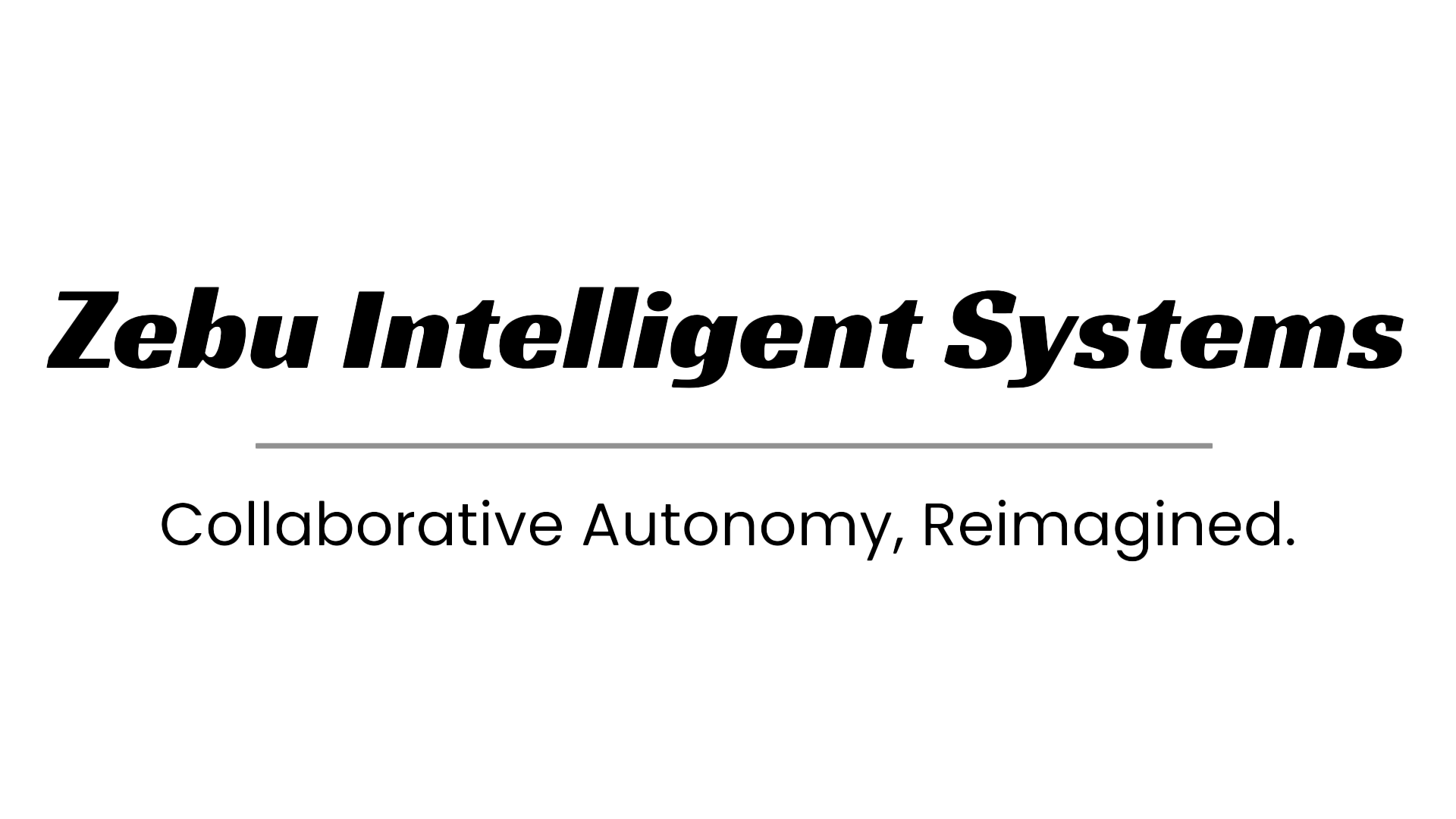 zebu-intelligent-systems